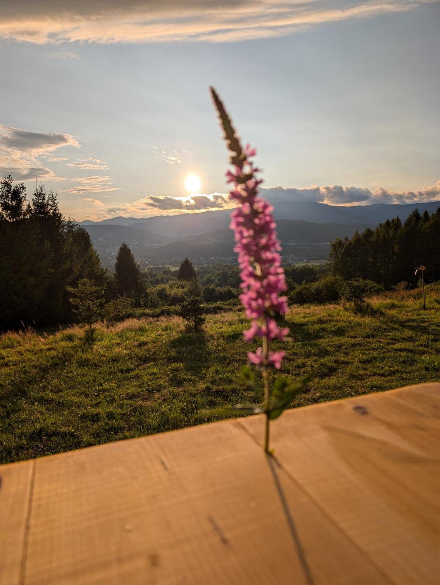 Villa Beskid Milówka 外观 照片